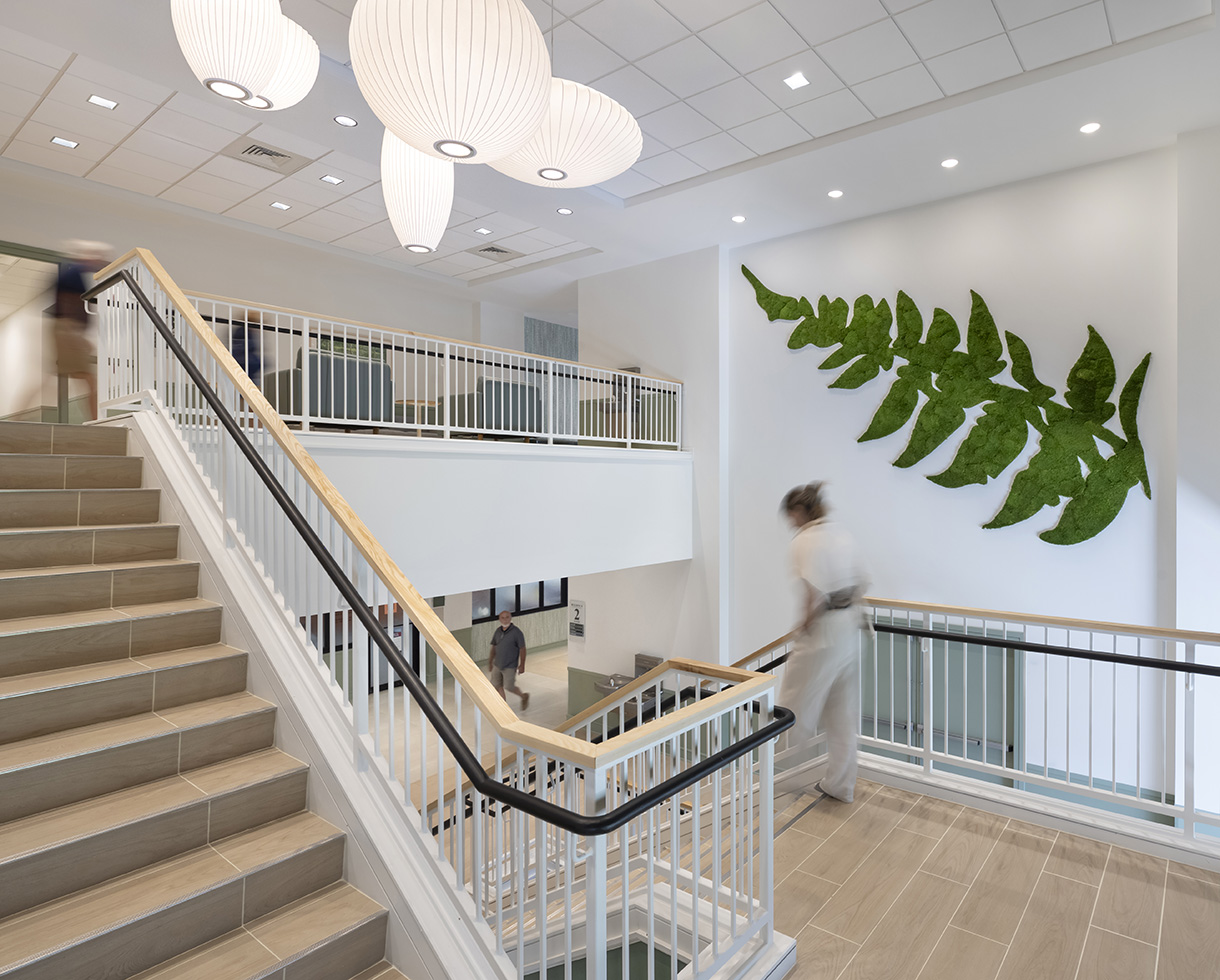 photo of the the staircase showcasing playful hanging lights and a fern-shaped moss wall decoration