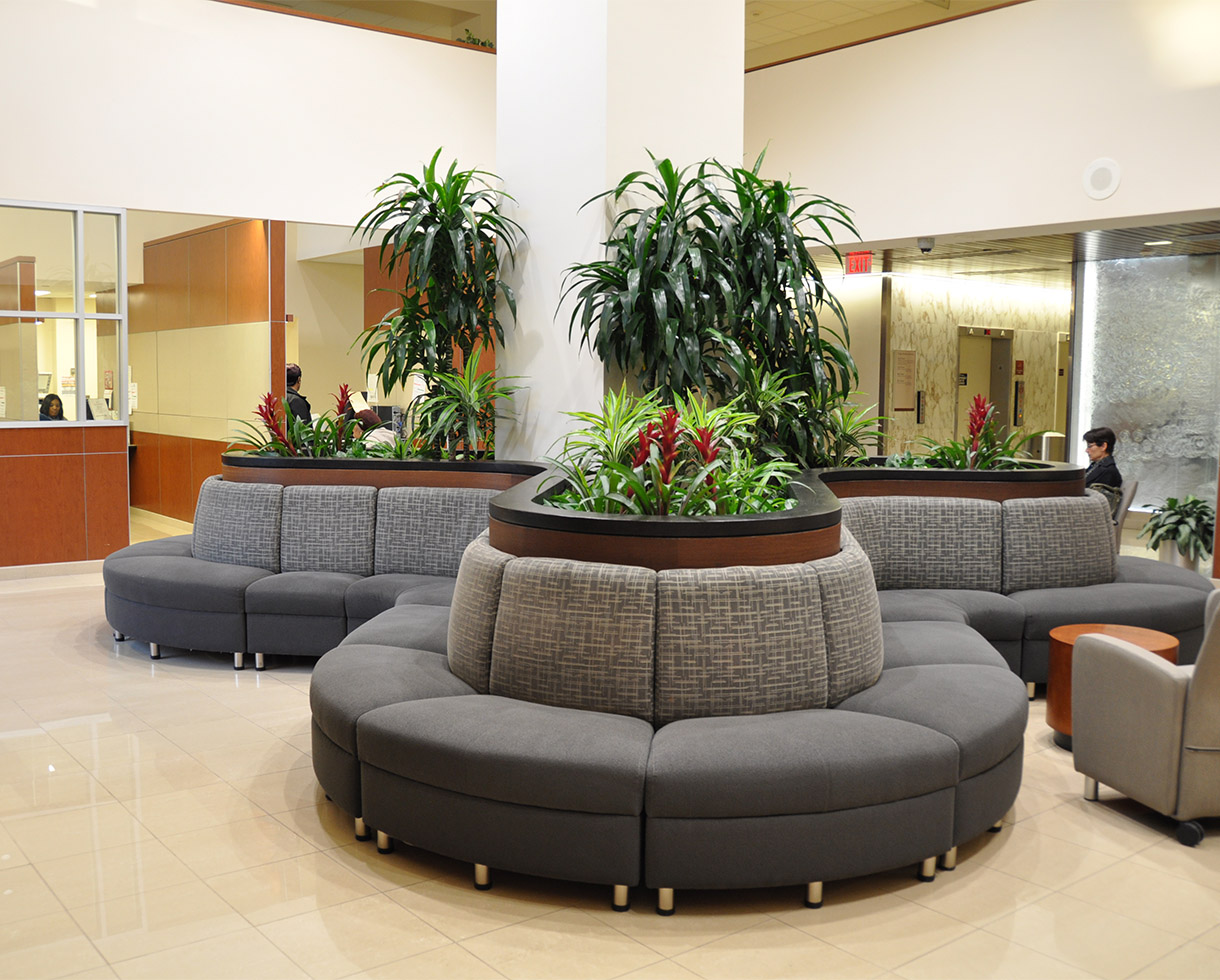 lobby to the Scheie Eye Institute, featuring gray couches and greenery