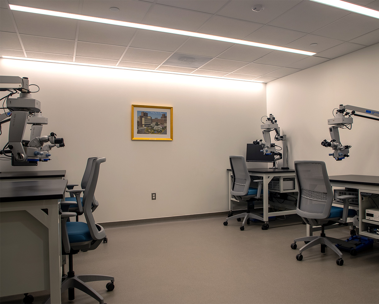 photo of 4 workstations, each desk has a monitor and a microscope