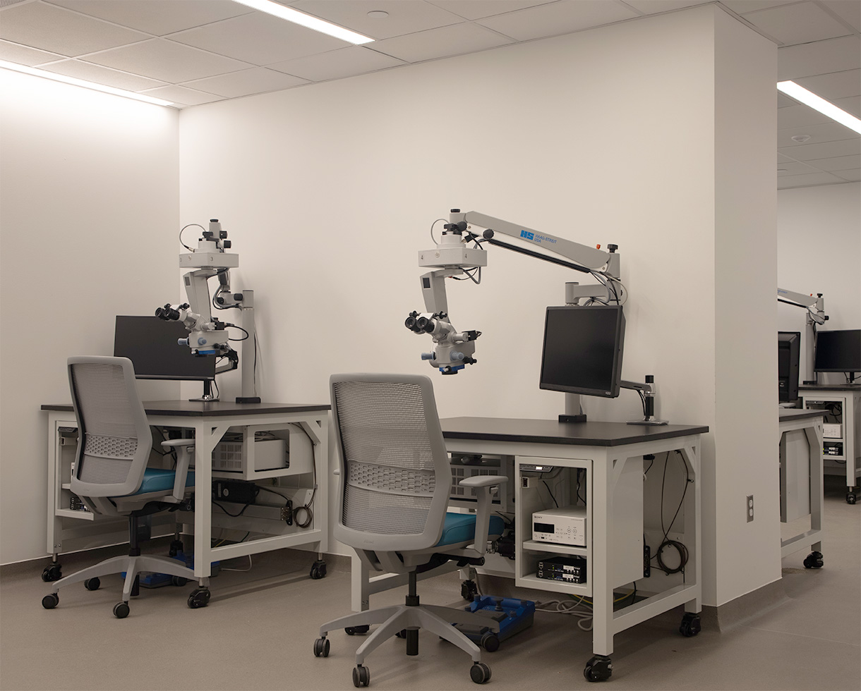 photo of 2 workstations, equipped with monitors and microscopes